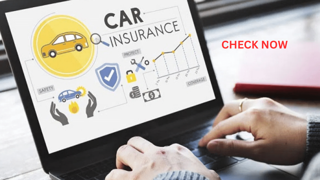 check car insurance online